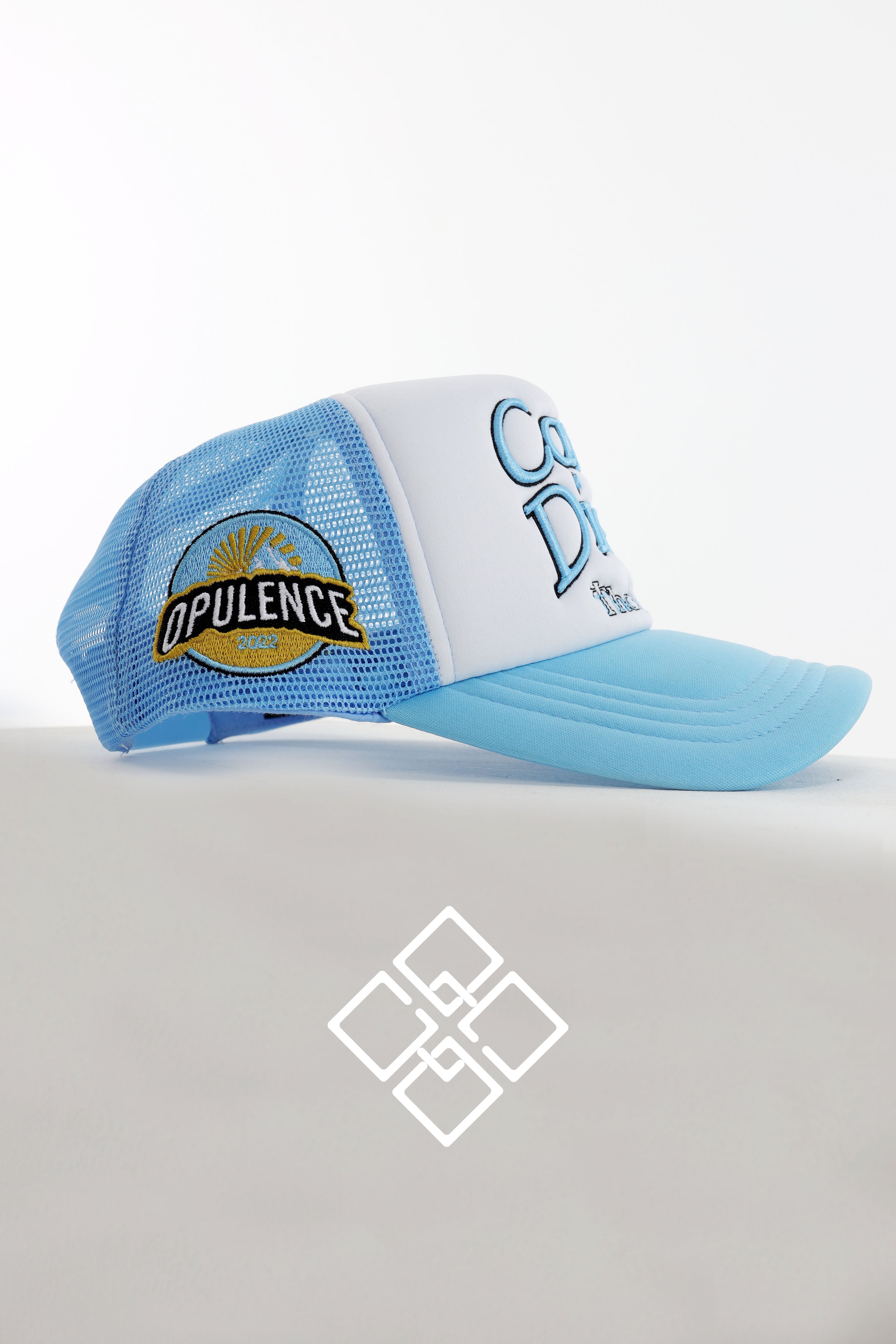 CARPE DIEM THAT SHIT BLUE TRUCKER HAT